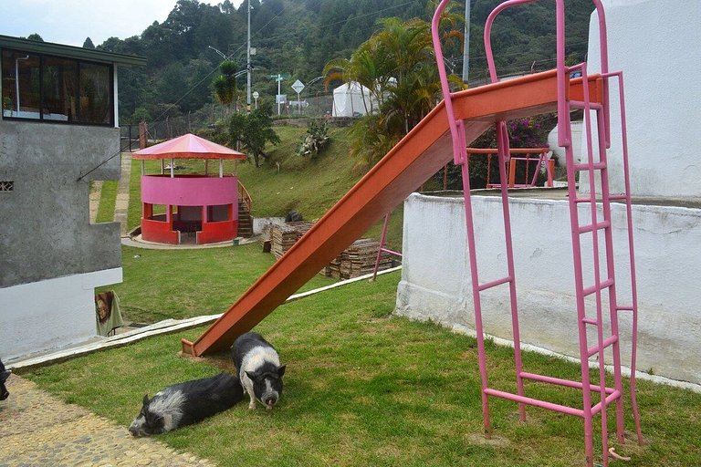 Tranquila Suite en Santa Elena