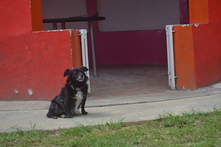 Encantadora Suite - Santa Elena