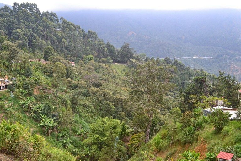 Encantadora Suite - Santa Elena